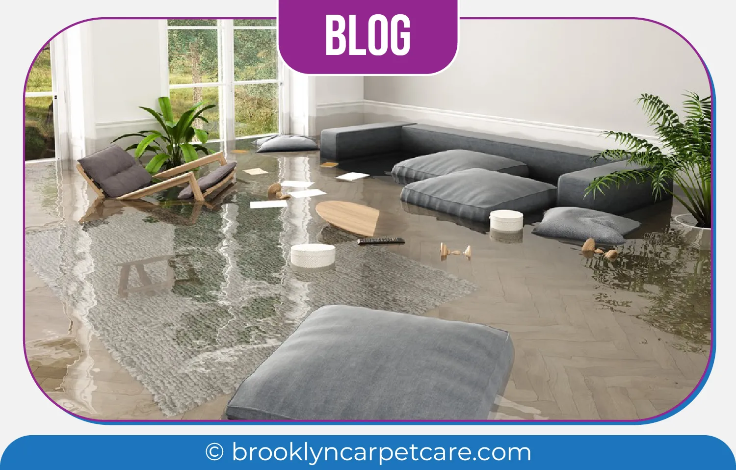 carpet cleaning in brooklyn, carpet cleaning in new york, carpet cleaning brooklyn, carpet cleaners in brooklyn, carpet cleaners in new york, commercial carpet cleaning, commercial carpet cleaning in brooklyn, brooklyn rug cleaners, rug cleaning services in brooklyn, same day carpet cleaning, same day rug cleaning